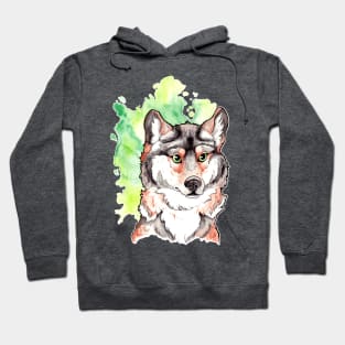 Mexican Gray Wolf Hoodie